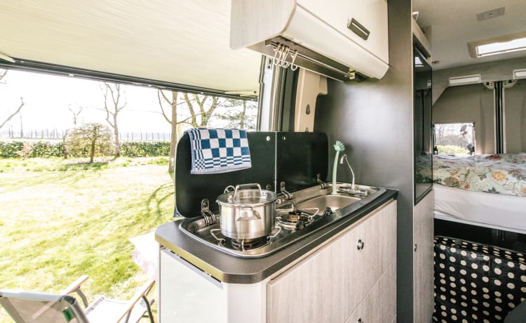 Jackie's hut – Bellissimo Peugot Camperbus, 150 CV