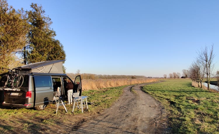 NOUVEAU VW CALIFORNIA AVEC PORTE-VÉLOS