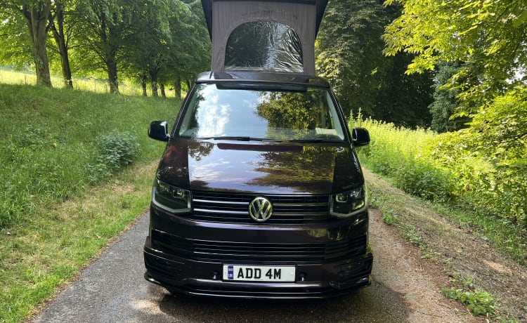 ADDAM – 4 berth Volkswagen bus from 2016