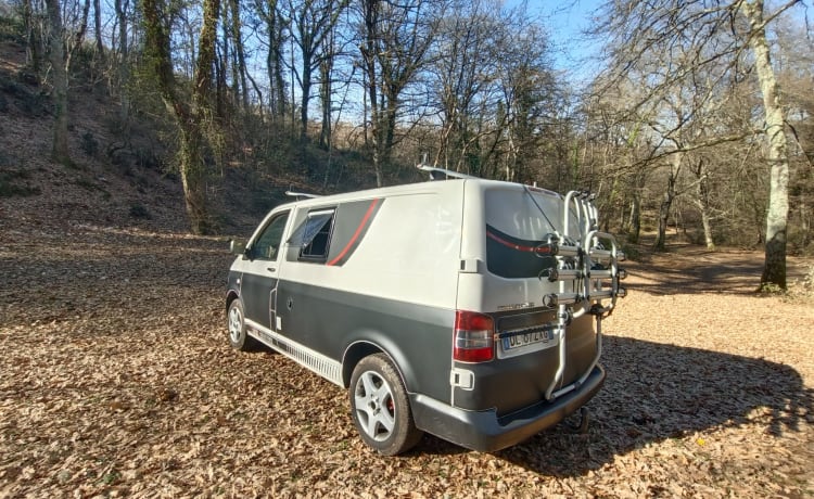 Vanity Van favoloso T5