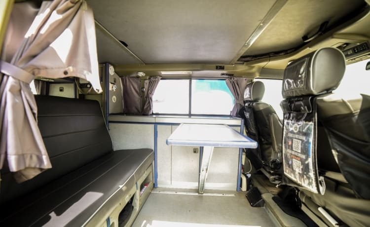 Rino il campeRino – Volkswagen T4 westfalia california 