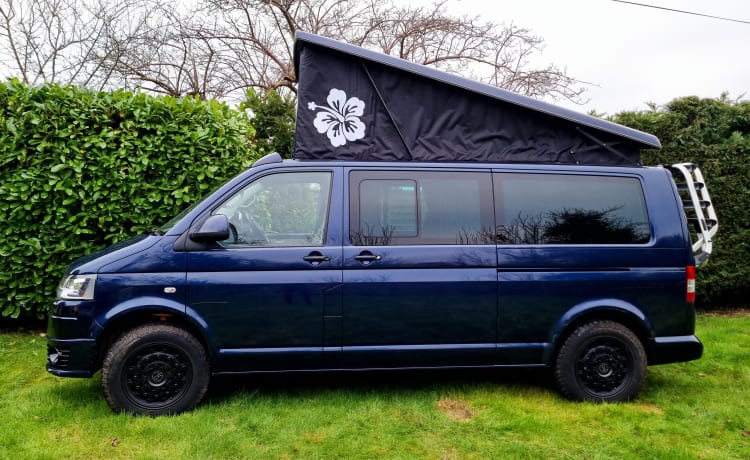 "Buster" - VW LWB T5 Campervan - Boite automatique DSG