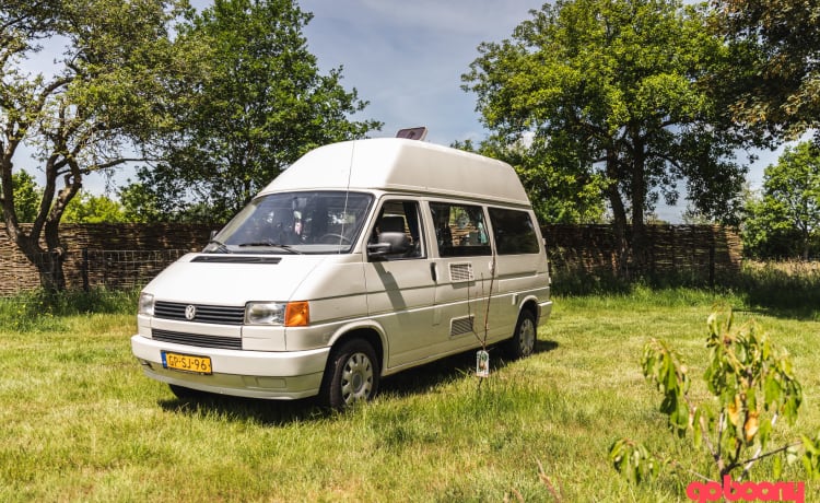 Sneeuwwitje – Affascinante camper per autobus Volkswagen adatto ai cani