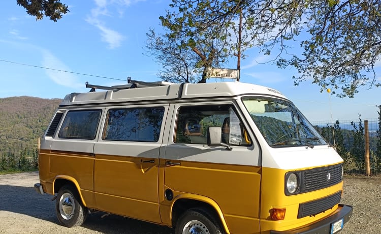 FRANCO - Vw T3 Westfalia 