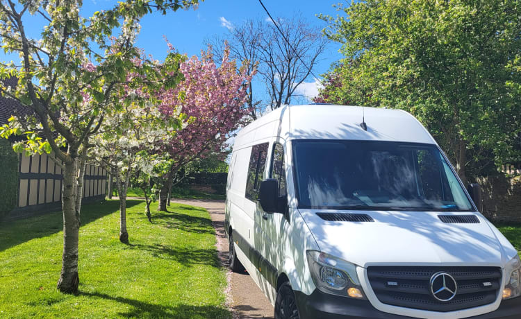 Mercedes-Benz Bus mit 3 Schlafplätzen aus dem Jahr 2017