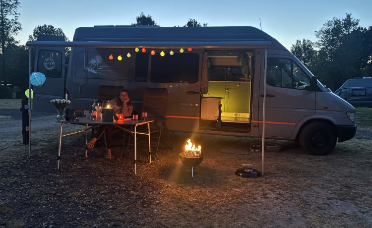 Bakbeest Bertje – 2p camper Bertje is looking for fun