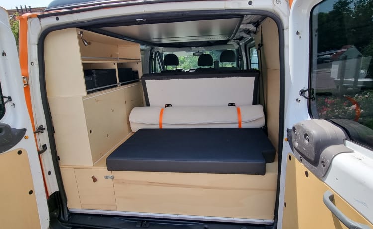 4p Ford campervan uit 2009