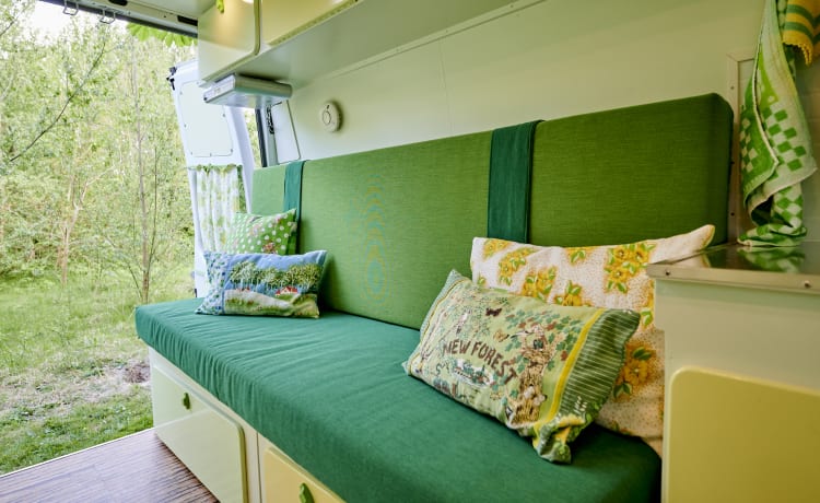 De Groenling – Nicely driving bus camper for 2 pers. with beautiful furnishings for rent