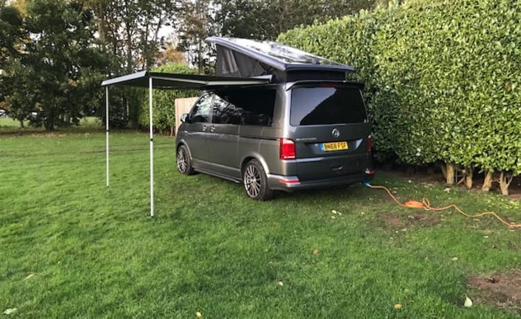 Gray – 4-persoons Volkswagen campervan uit 2018