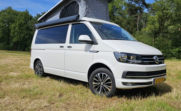 Toit Volkswagen 4p de 2016