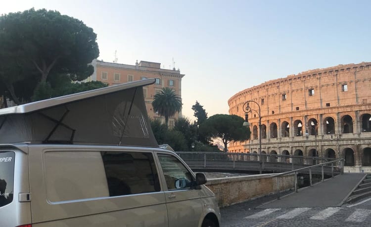 Mavis – Bellissimo VW T5.1 Transporter 4 posti letto convertito