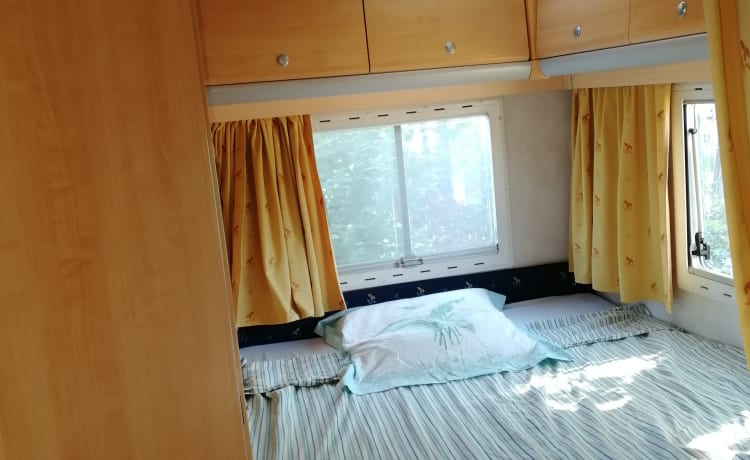 Rodrigue – Comfortable Challenger - 3 double beds