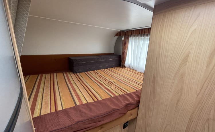 Dolly – Renault-camper met 4 slaapplaatsen