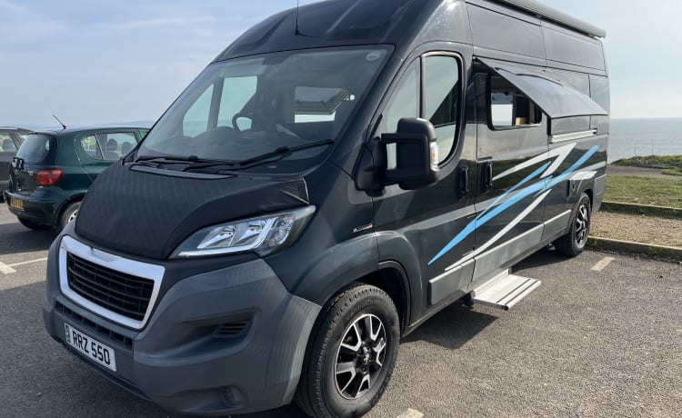 2-persoons Peugeot bus uit 2016