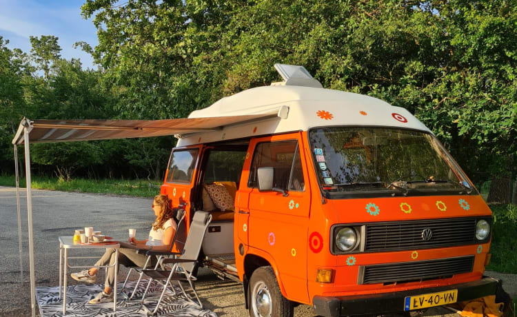 Camper Bollie – Wohnmobil Bollie