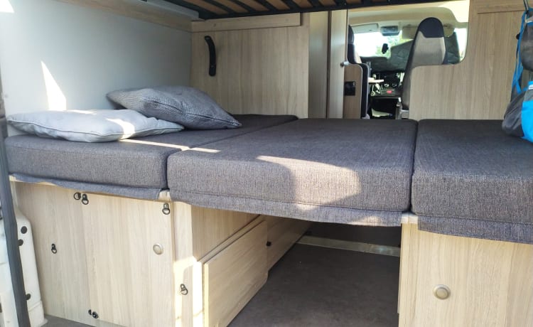 HVan – Camping-car, 5 places de voyage et de couchage, aménagement 2022