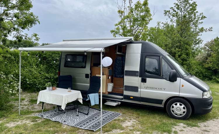 Ted – Camper compatto Fiat Globescout (3 posti)