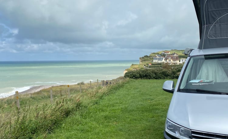 VW California T6.1 Ocean - Gris/Bleu - Automatique