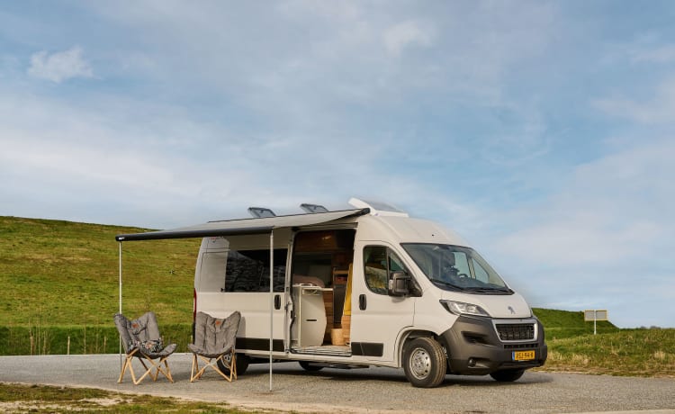 Voor de sfeermakers – 2er Peugeot Bus ab 2023