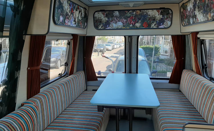 2p attractive, spacious, light Fiat bus camper