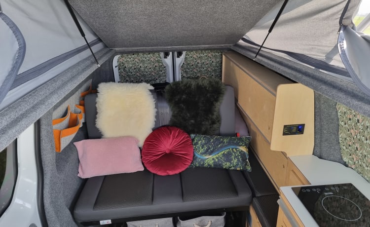 Evonne – EV Camper ⚡️ 100% elettrico