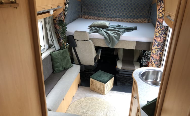 🌿 Spacious and atmospheric 4 p family camper