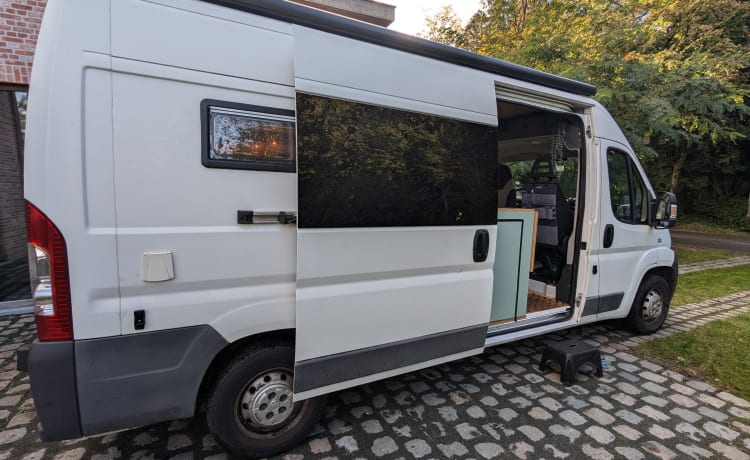 Vennie – 2p Fiat campervan from 2012