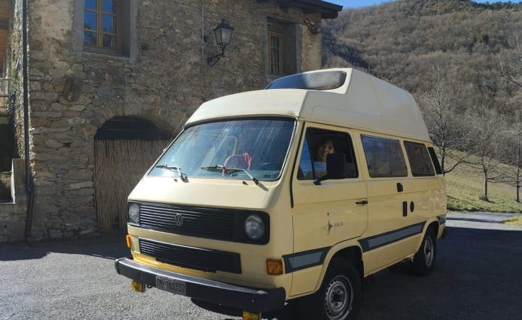 ARMANDONE – VW T3 Joker Westphalie. Les rêves deviennent réalité'!!!