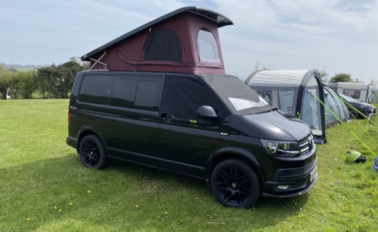 Stan – 4-persoons Volkswagen campervan uit 2017