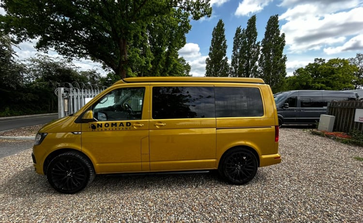 Goldie LONDON – RK69RPY – Abenteuer mit Goldie, dem Nomaden-Volkswagen mit 4 Schlafplätzen