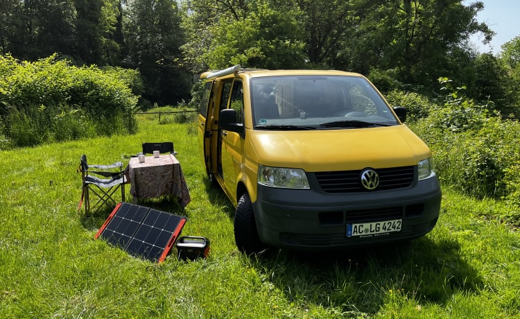 Pippin – VW T5 Postbus 