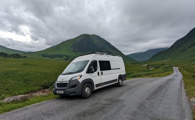 Reggie – 2 berth Peugeot bus from 2016