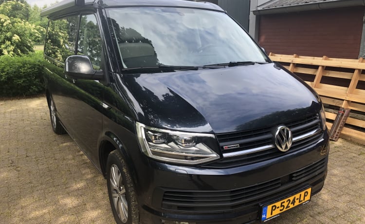 Lusso 4WD VW California (2019)