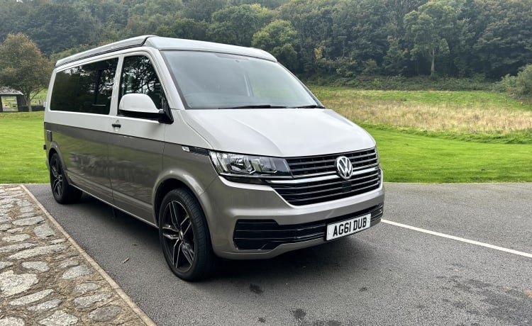 Aggi – Kies mij, kies mij!! 2021 (VW T6.1) met nieuwe prof-conversie - Devon. 