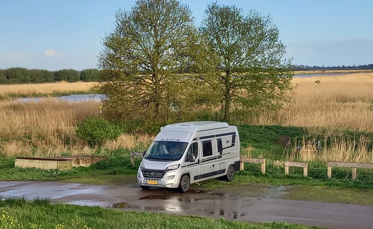 4p camperbus automaat en slaaphefdak uit 2021