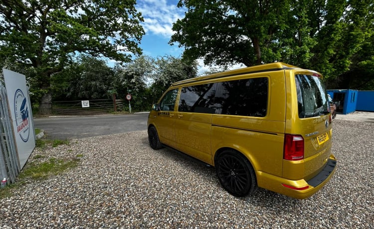 Goldie LONDON – RK69RPY - Aventure avec Goldie, la Volkswagen Nomade à 4 Couchettes