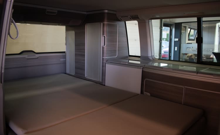 Bulli – Camper Volkswagen T6 California Ocean 4p del 2020