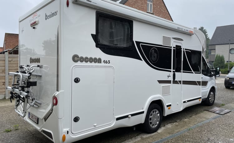 benimar cocoon 463 2021