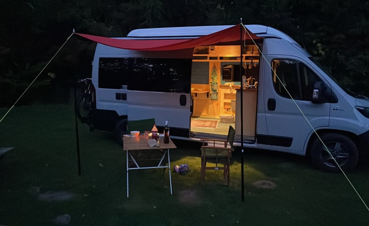 DE GRIJZE WOLF  – Camping-car Fiat 4 personnes à partir de 2021