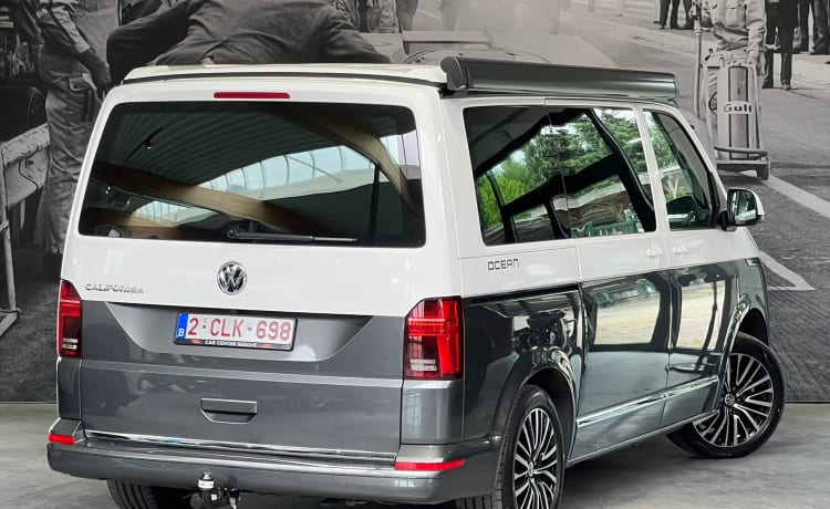 OCEAN – Volkswagen CALIFORNIA campervan uit 2022