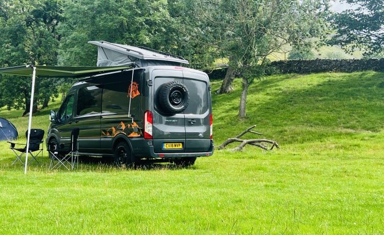 Tina – 5 berth Ford bus from 2018