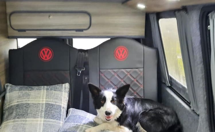 Maisie – Camping-car VW élégant, 4 couchettes, acceptant les animaux de compagnie, automatique