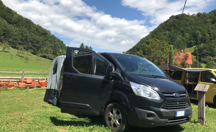 Furgo – Ford Tourneo Custom Van - 2 posti