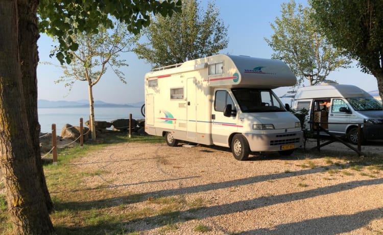 Ruime comfortabele alkoof camper 