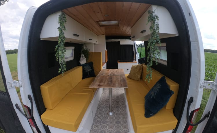 Atmospheric bus camper