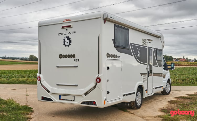 brand new Benimar Cocoon 463 4 persons semi-integrated 2022