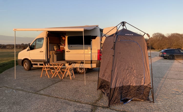 Connie – In the New Forest ready for adventures