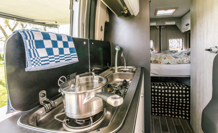 Jackie's hut – Schöner Peugeot Camperbus, 150 PS