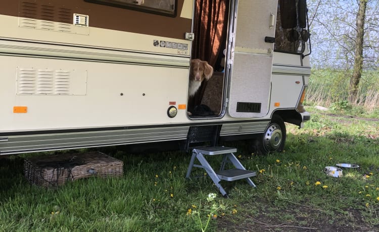 Oldtimer Hymer uit 1986 voor 4 personen 