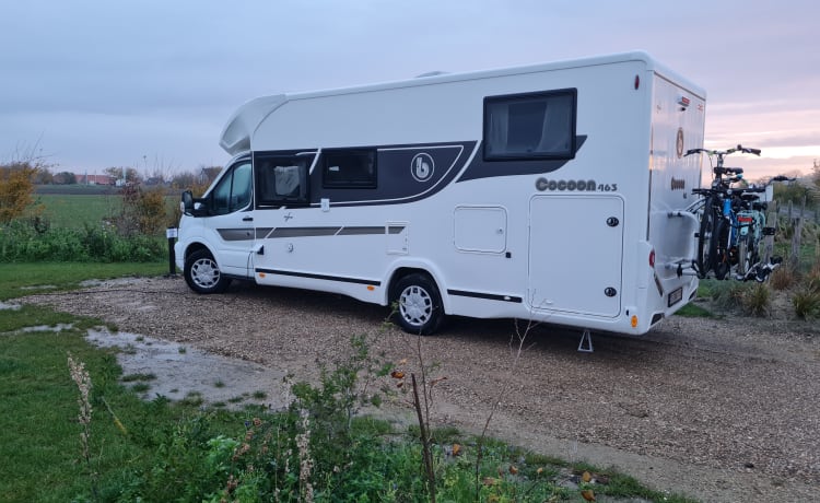 Nieuwe Benimar Cocoon 463